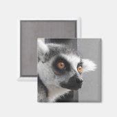 Lemur Magnet (Voorkant / Achterkant)