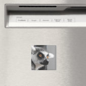 Lemur Magnet (Insitu (Vaatwasser))
