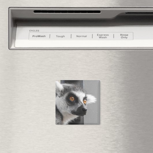 Lemur Magnet (Insitu (Vaatwasser))