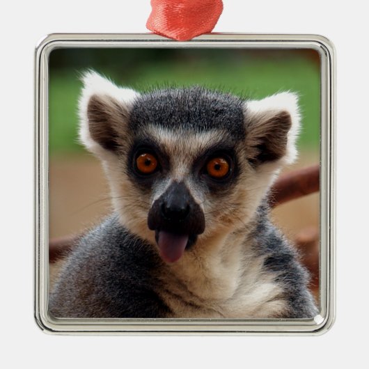 Lemur Metalen Ornament (Voorkant)