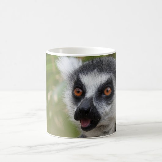 Lemur-Mok Koffiemok (Center)