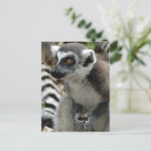 Lemur Monkey Briefkaart (Staand voorkant)