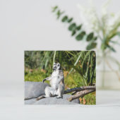 Lemur Monkey Briefkaart (Staand voorkant)