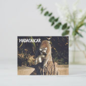 Lemur Monkey Madagascar Wildlife Briefkaart (Staand voorkant)