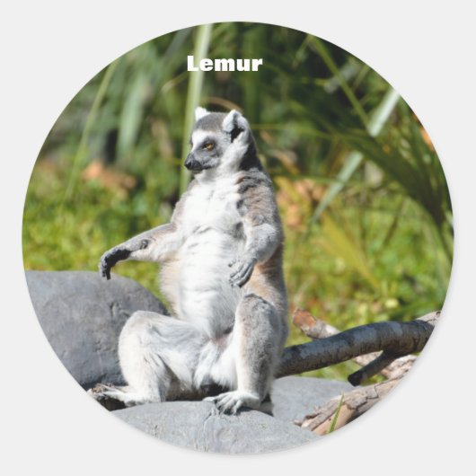 Lemur Monkey Ronde Sticker (Voorkant)