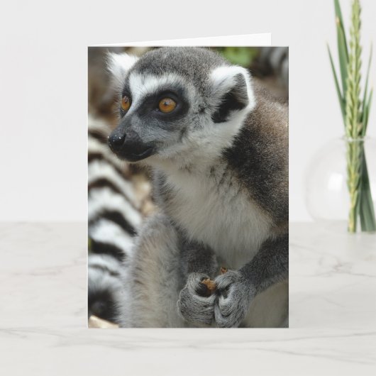 Lemur Monkey Wenskaart Kaart (Voorkant)
