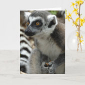 Lemur Monkey Wenskaart Kaart (Gele Bloem)