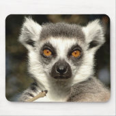 Lemur Mousepad Muismat (Voorkant)