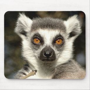 Lemur Mousepad Muismat