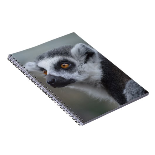 Lemur Notitieboek (Rechterzijde)