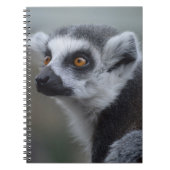 Lemur Notitieboek (Voorkant)
