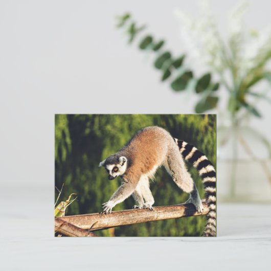 Lemur op een boomtak feestdagenkaart (Staand voorkant)