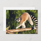 Lemur op een boomtak feestdagenkaart (Voorkant / Achterkant)