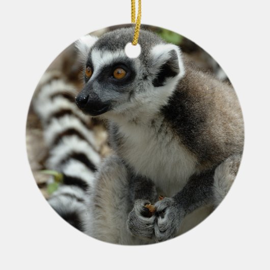 Lemur Ornament (Voorkant)