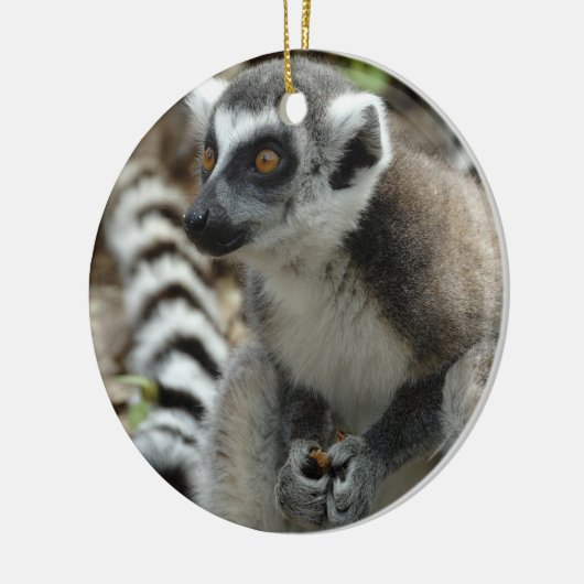 Lemur Ornament (Links)