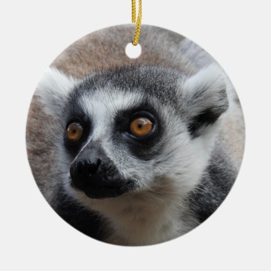 Lemur Ornament (Voorkant)