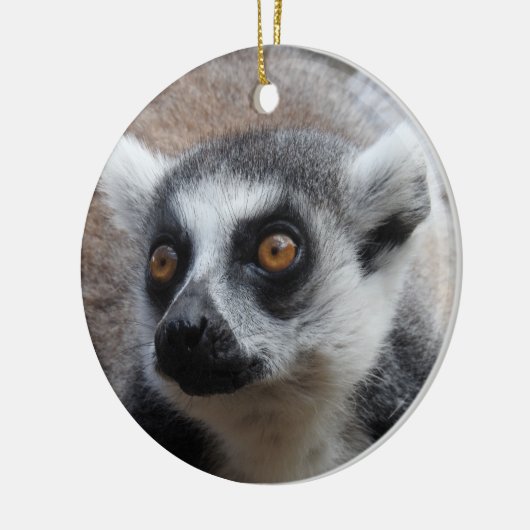 Lemur Ornament (Links)