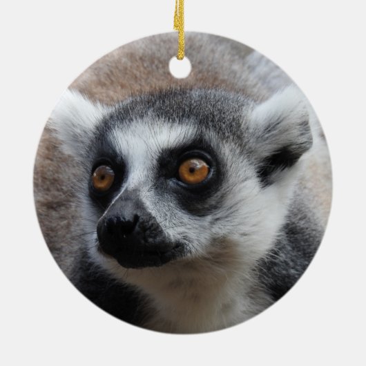 Lemur Ornament (Achterkant)