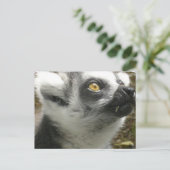Lemur Photo Briefkaart (Staand voorkant)