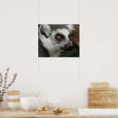 Lemur Poster (Keuken)