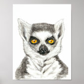 Lemur Poster (Voorkant)