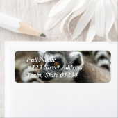 Lemur retour adres label (Insitu)