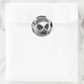 Lemur Ronde Sticker (Tas)