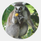 Lemur Sticker (Voorkant)