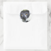Lemur Stickers (Tas)