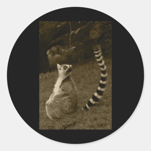 Lemur Tail Valencia Tint Vertical Sticker (Voorkant)