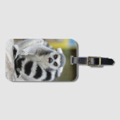 Lemur vol persoonlijkheid bagagelabel (Voorkant (horizontaal))