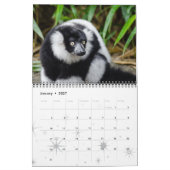 Lemur Wild Primate Welkom Home Destiny's Kalender (Jan 2027)