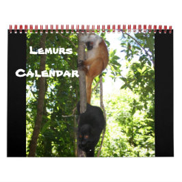 Lemur Wild Primate Welkom Home Destiny's Kalender