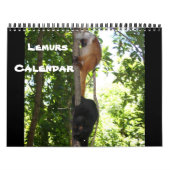 Lemur Wild Primate Welkom Home Destiny's Kalender (Hoes)