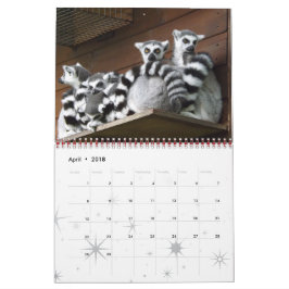 Lemur Wild Primate Welkom Home Destiny's Kalender