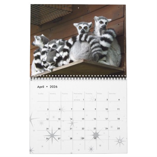 Lemur Wild Primate Welkom Home Destiny's Kalender (Apr 2026)