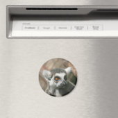 lemura magneet (Insitu (Vaatwasser))
