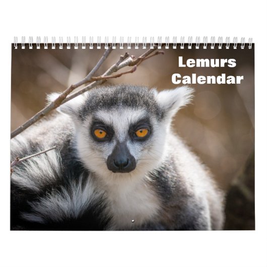 Lemuren 2027 kalender (Hoes)