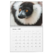 Lemuren 2027 kalender (Jan 2027)