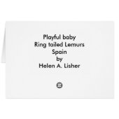 Lemuren met gespannen baby (Achterkant Horizontaal)