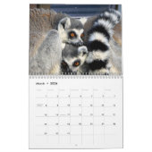 Lemurenkalender 2025 kalender (Mar 2026)