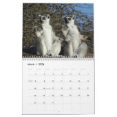 Lemurenkalender 2025 kalender (Mar 2026)