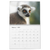 Lemurenkalender 2025 kalender (Feb 2027)