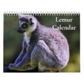 Lemurkalender 2027 kalender (Hoes)