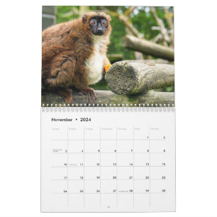 Lemurkalender 2027 kalender