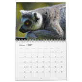 Lemurkalender 2027 kalender (Jan 2027)