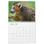 Lemurkalender 2027 kalender (Feb 2027)