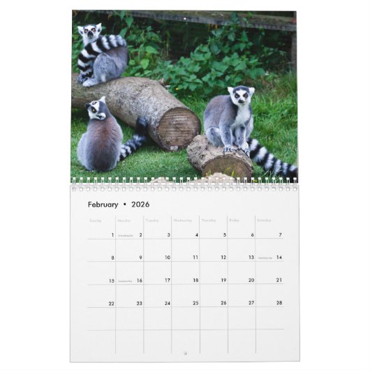 Lemurs 2025 kalender (Feb 2026)