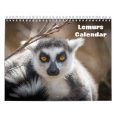 Lemurs 2025 kalender (Hoes)