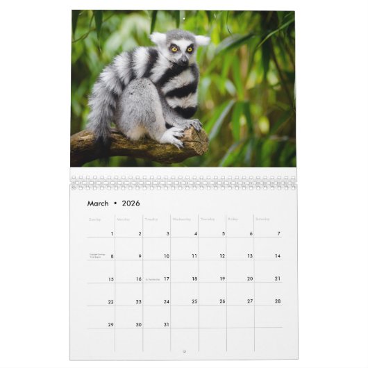 Lemurs 2025 kalender (Mar 2026)